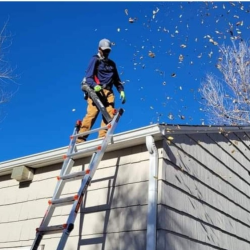 The Brothers that just do Gutters